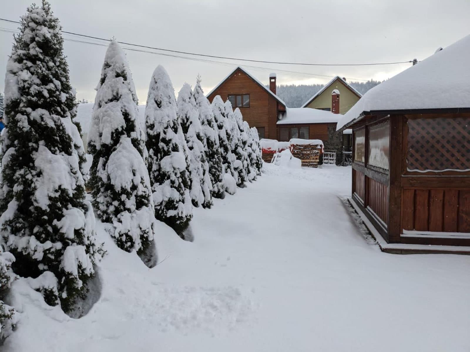 Hotel Aura Karpat Bukowel Zewnętrze zdjęcie